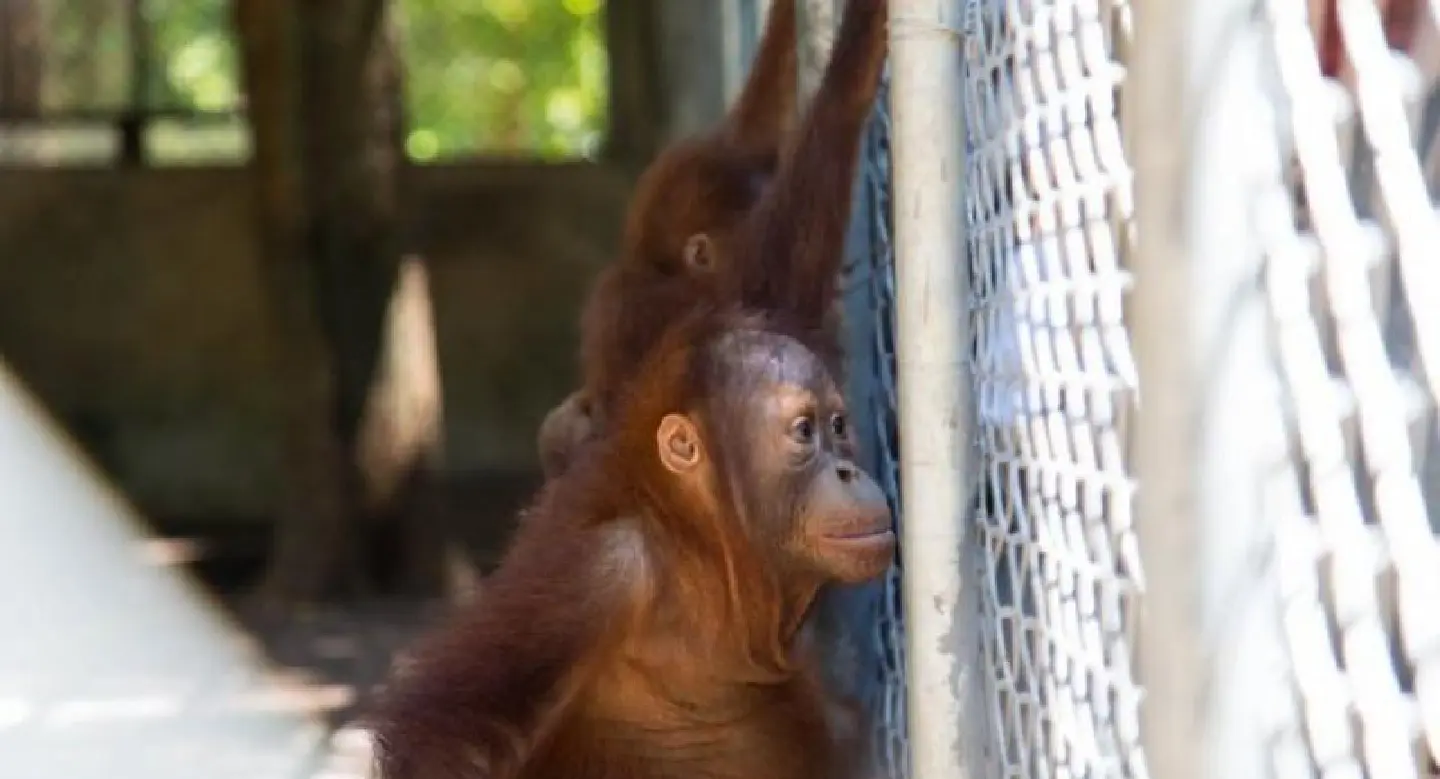 SPECIAL REPORT: A refuge for impounded wildlife SPECIAL REPORT: A refuge for impounded wildlife