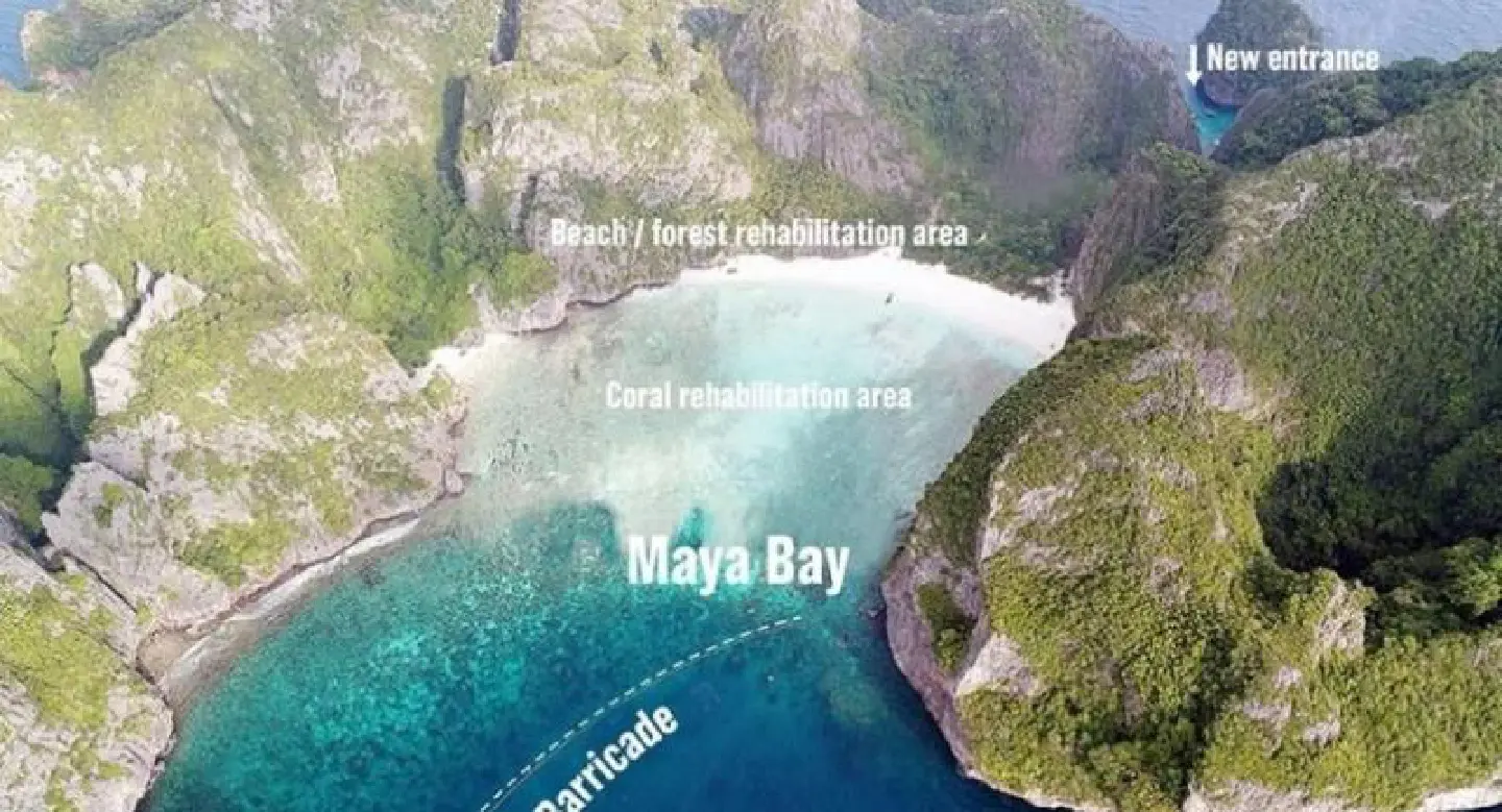 Leave Maya Bay alone: experts Leave Maya Bay alone: experts
