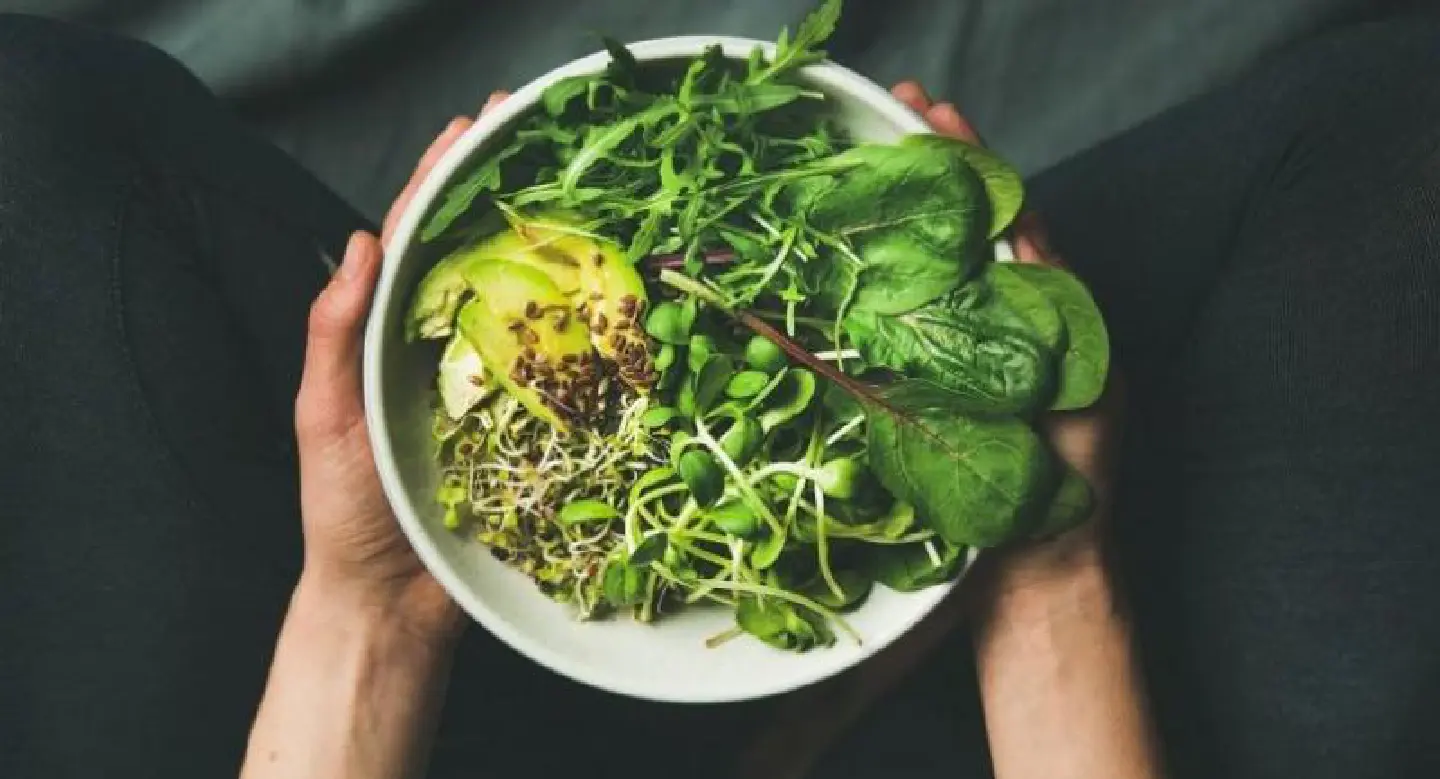 Healthy dining, vegetarian style Healthy dining, vegetarian style