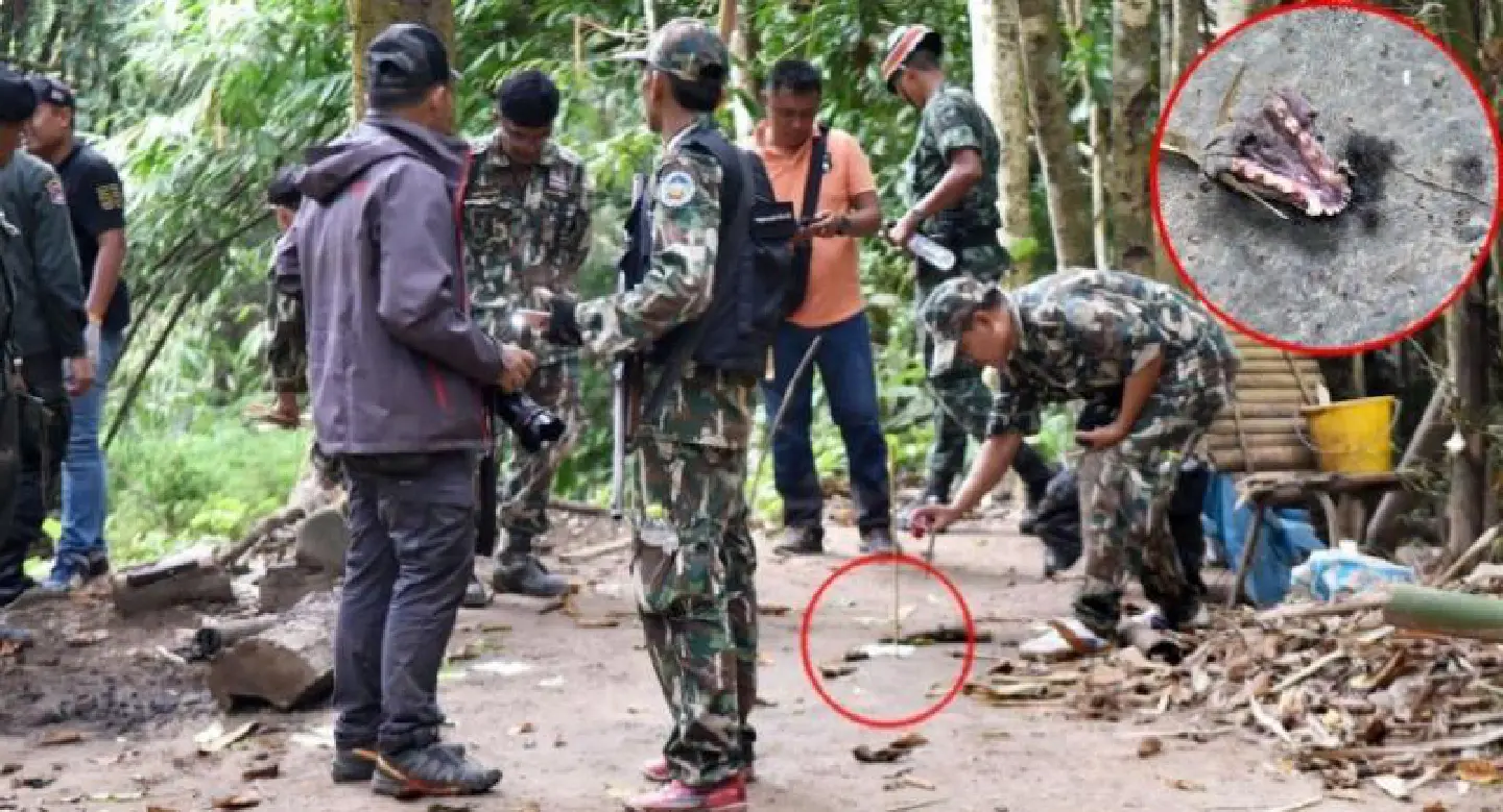 Suspects in forest case get bail after additional charge slapped on them Suspects in forest case get bail after additional charge slapped on them