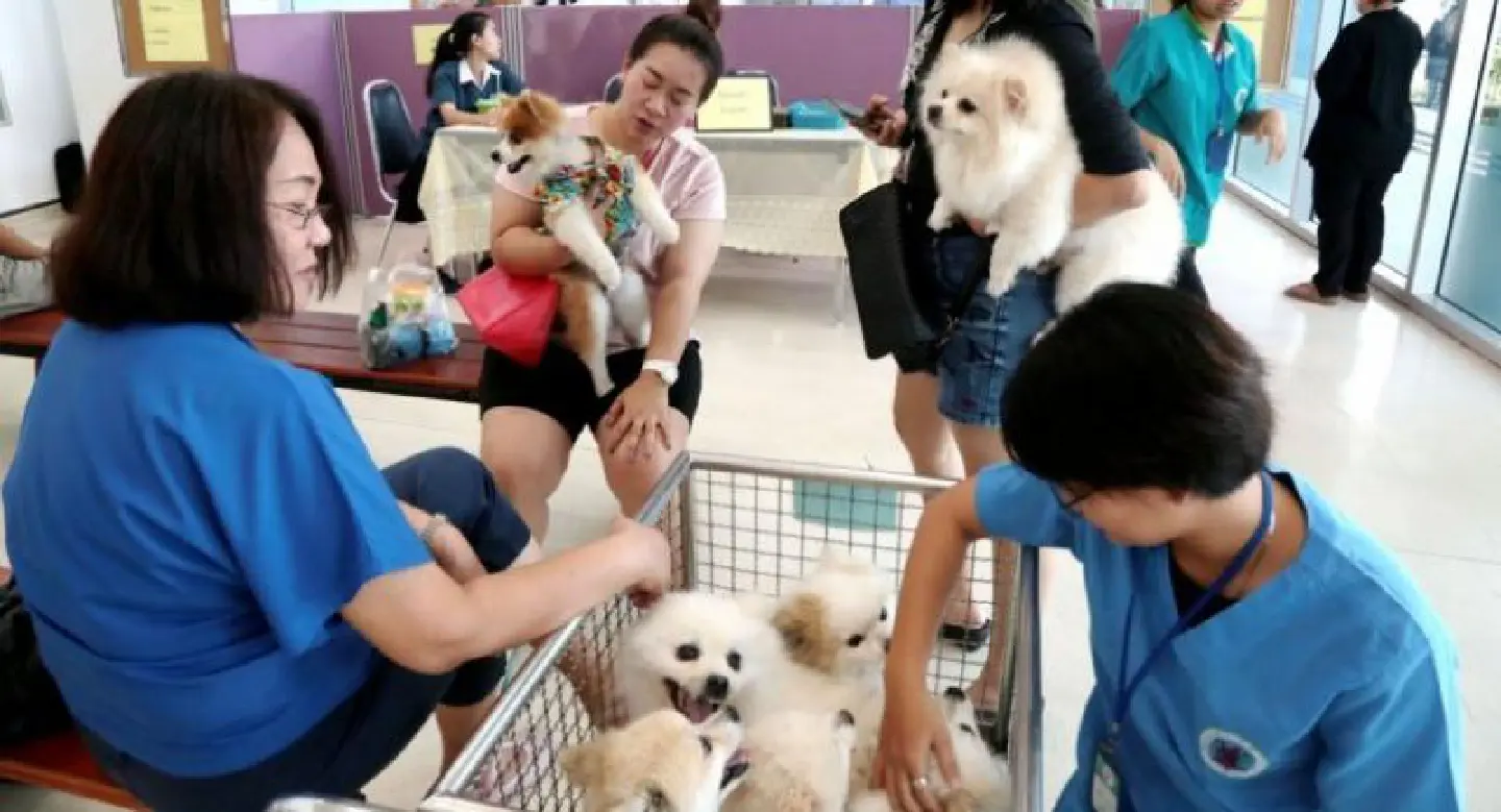 Pet registration bill to be rethought after public fury and worries over fallout Pet registration bill to be rethought after public fury and worries over fallout