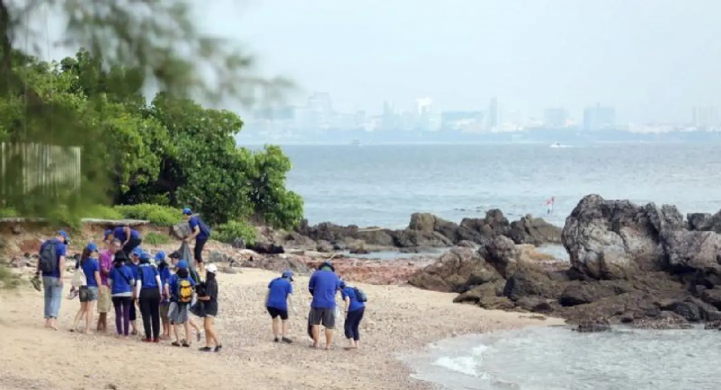 EU officials stumble on bamboo shark eggs during beach cleaning operation EU officials stumble on bamboo shark eggs during beach cleaning operation