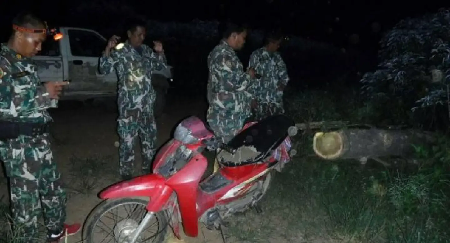 RFD fires Kamphaeng Phet forest patrol officer  after teak log falls from his pickup during chase