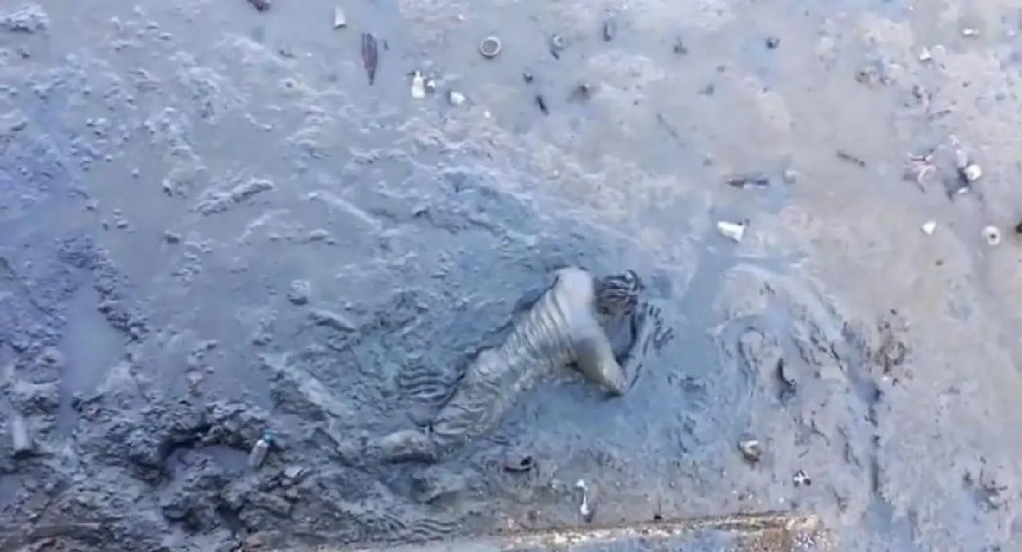 Man stuck in mud after falling from seaside road in Chon Buri