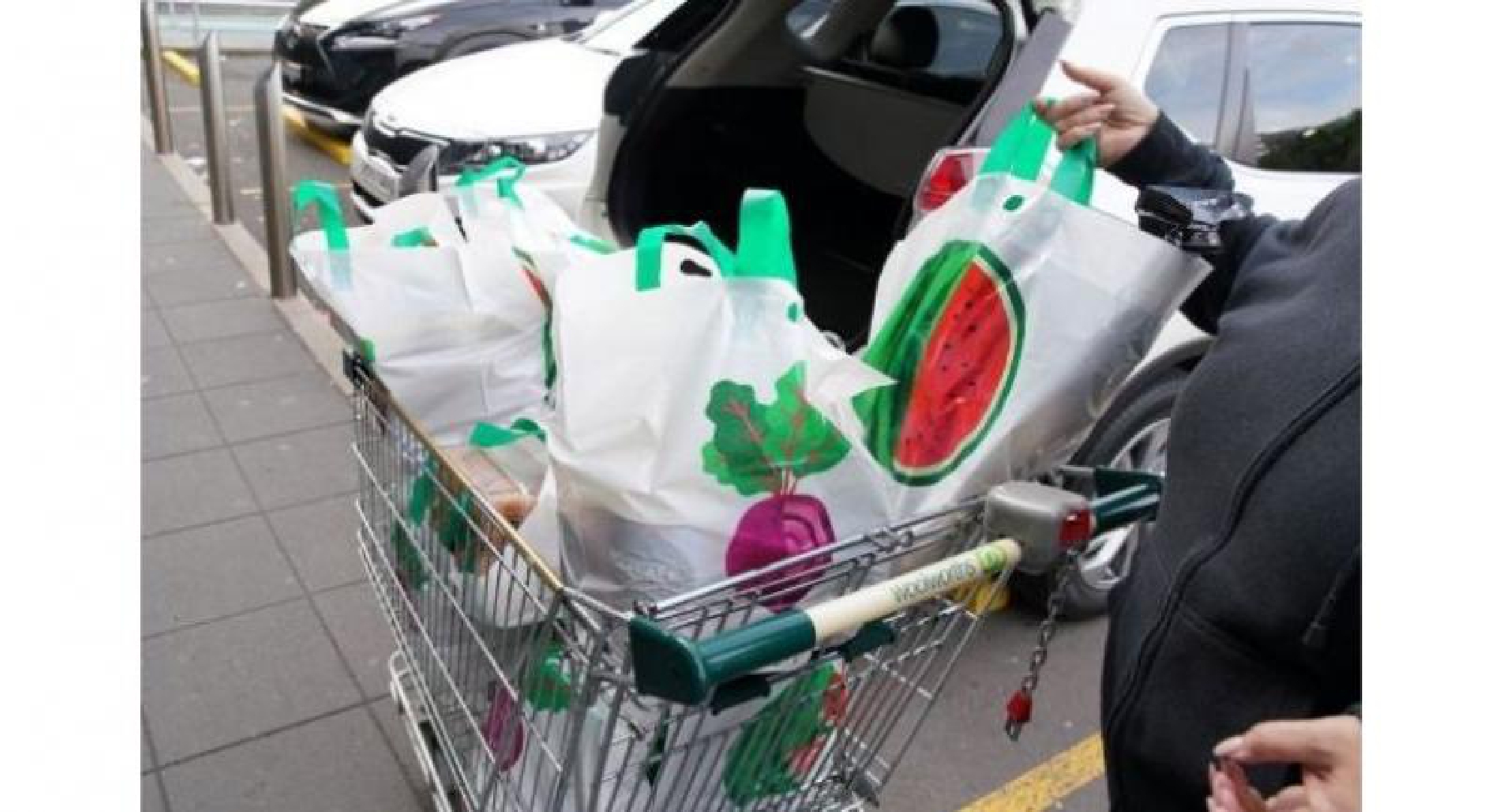 Malaysia states to charge for plastic bags by 2021