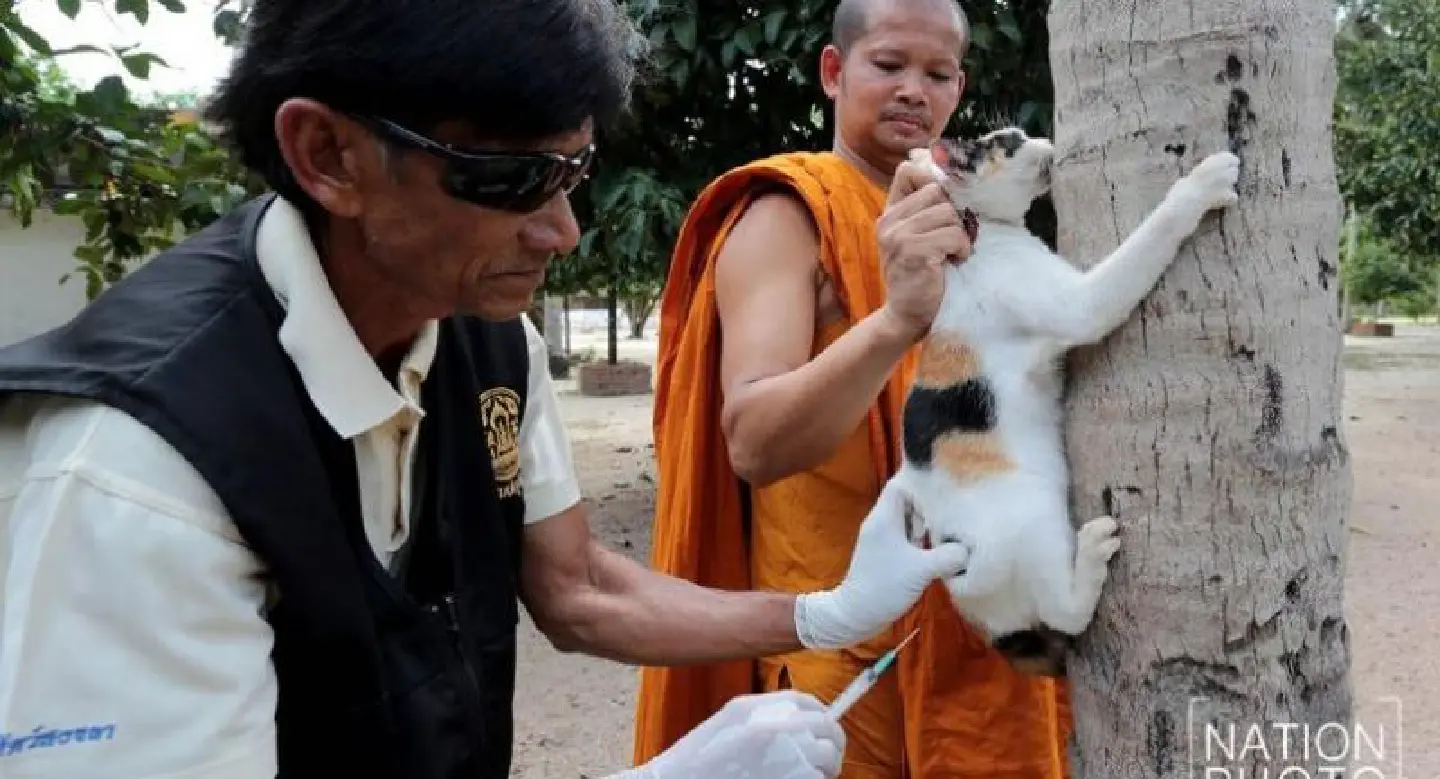 65-year-old Songkhla man is 17th death from rabies 65-year-old Songkhla man is 17th death from rabies