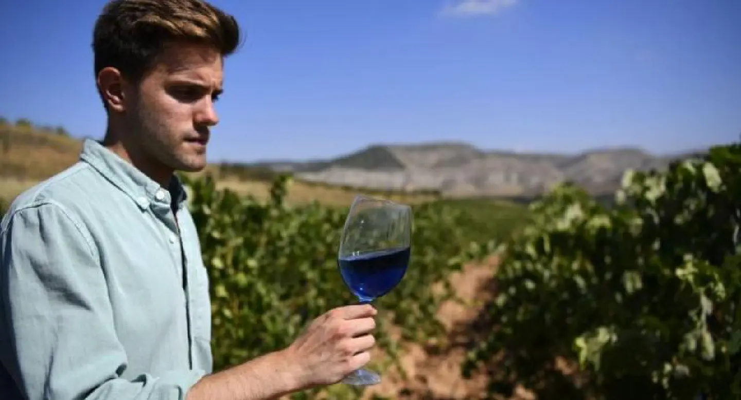 Blue wine and tea-infused vintages Blue wine and tea-infused vintages