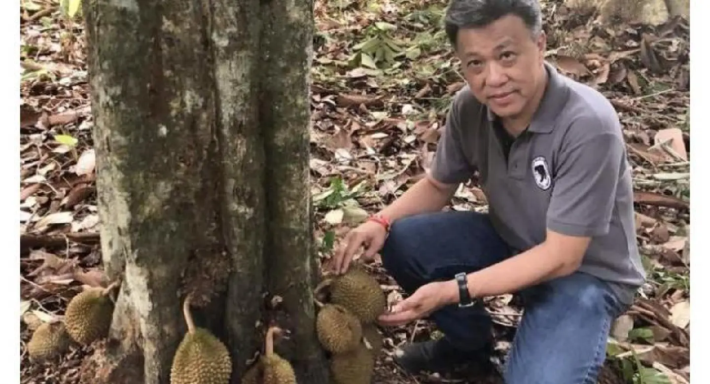 Ever heard of the rare and elusive kura kura durian in Malaysia?
