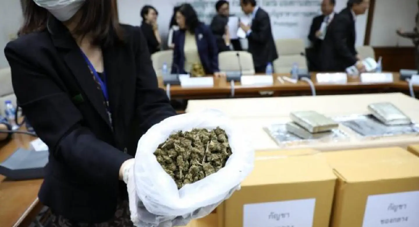 Beware of marijuana being misused if it’s legalised, says expert