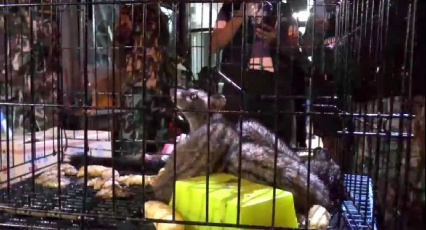 Phatthalung man arrested for allegedly selling protected animals Phatthalung man arrested for allegedly selling protected animals
