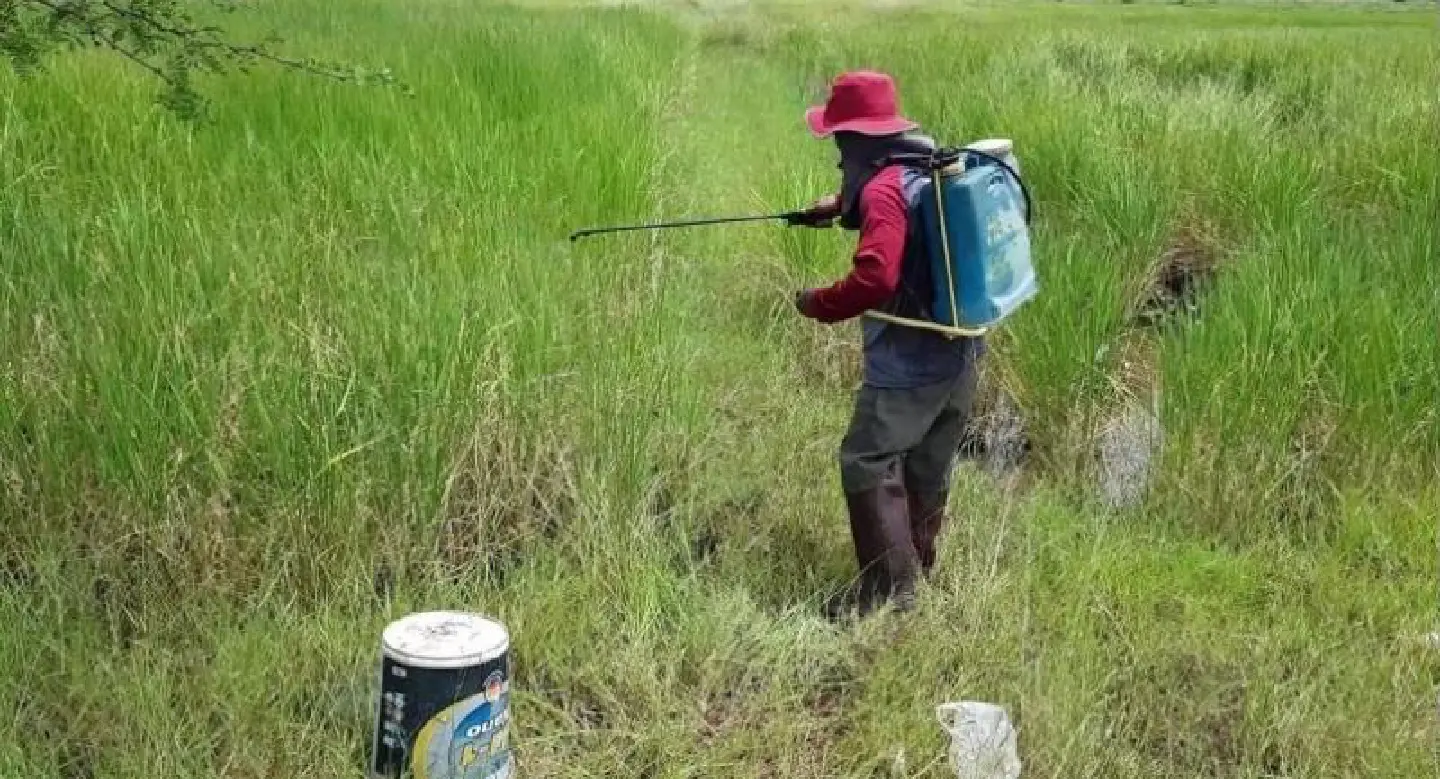 Farmers worry over agrochemical control regulations Farmers worry over agrochemical control regulations