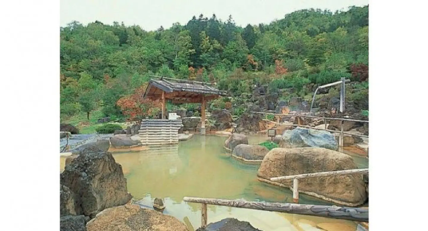 Japanese park attendant too shy to talk to foreign tourists let them in for free for 2 years