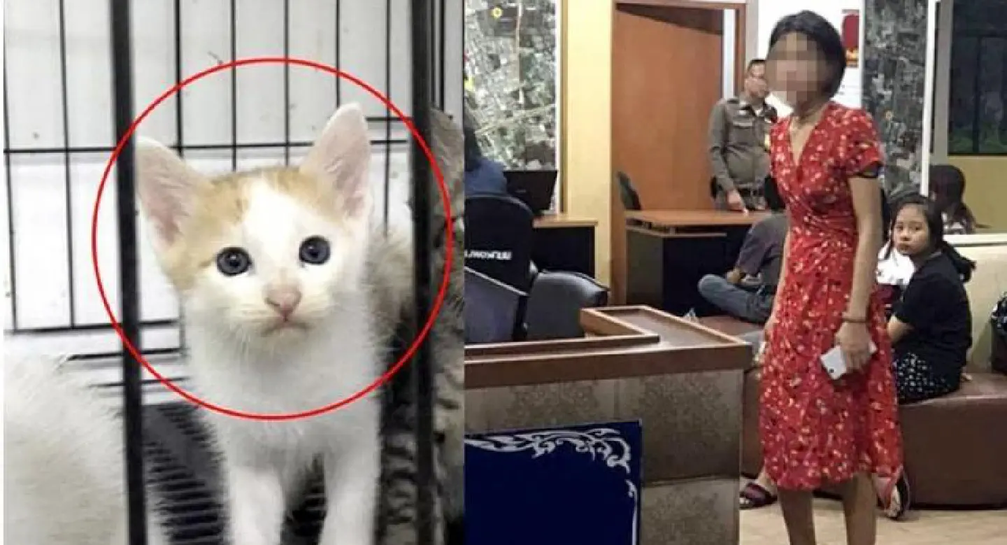 Woman accused of animal-assault offence dodges media after getting bail Woman accused of animal-assault offence dodges media after getting bail