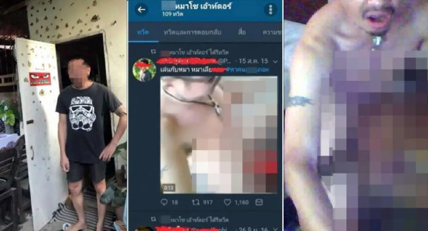 Chiang Mai man arrested for offering sex with dogs Chiang Mai man arrested for offering sex with dogs