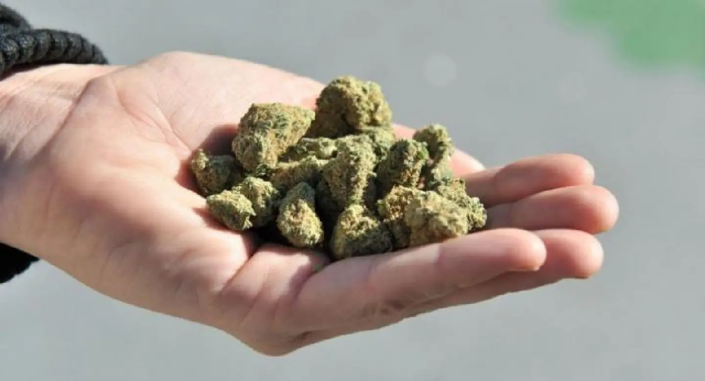 Ministry wants marijuana legalised by next month Ministry wants marijuana legalised by next month