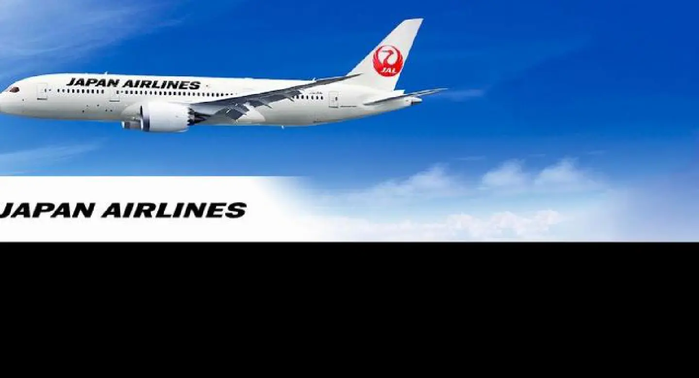  Japan airline apologises for arrested drunk pilot