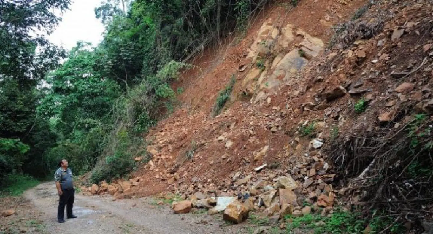 Road project in Kaeng Krachan park halted as environmentalists attack plan