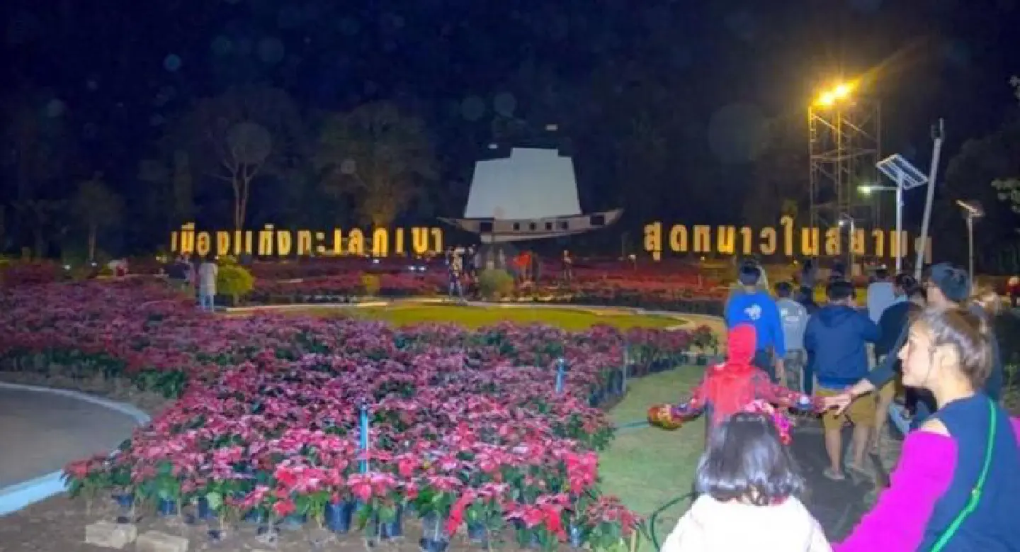 Loei set to glow for annual Christmas flower festival Loei set to glow for annual Christmas flower festival
