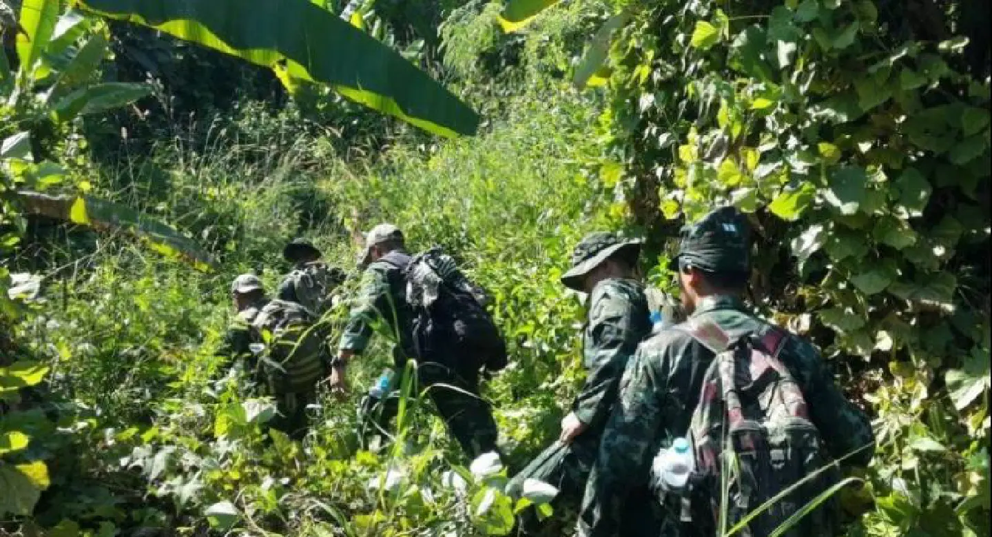 Official search launched for villager missing in mountain forest for eight days Official search launched for villager missing in mountain forest for eight days