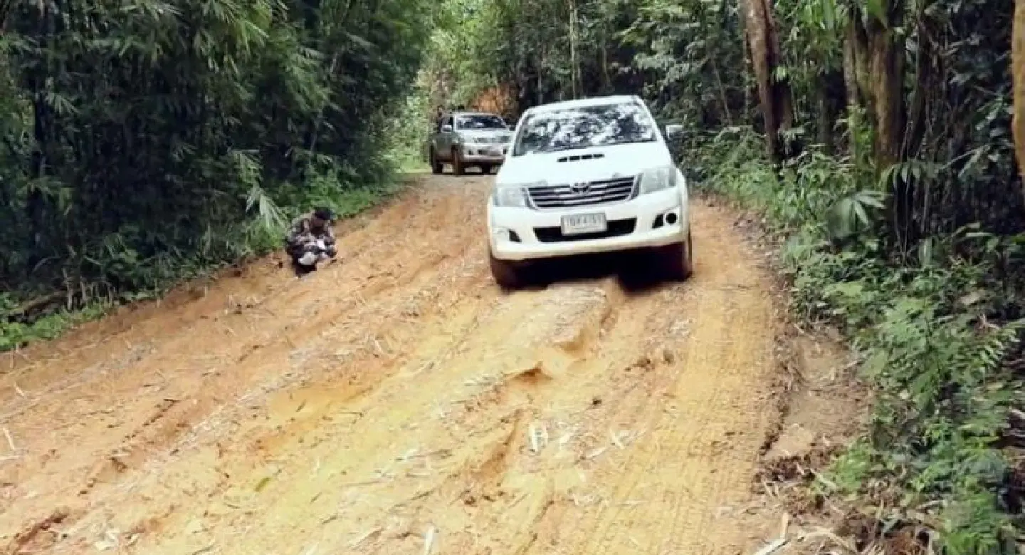 Divided opinions cast shadow over Kaeng Krachan park road project