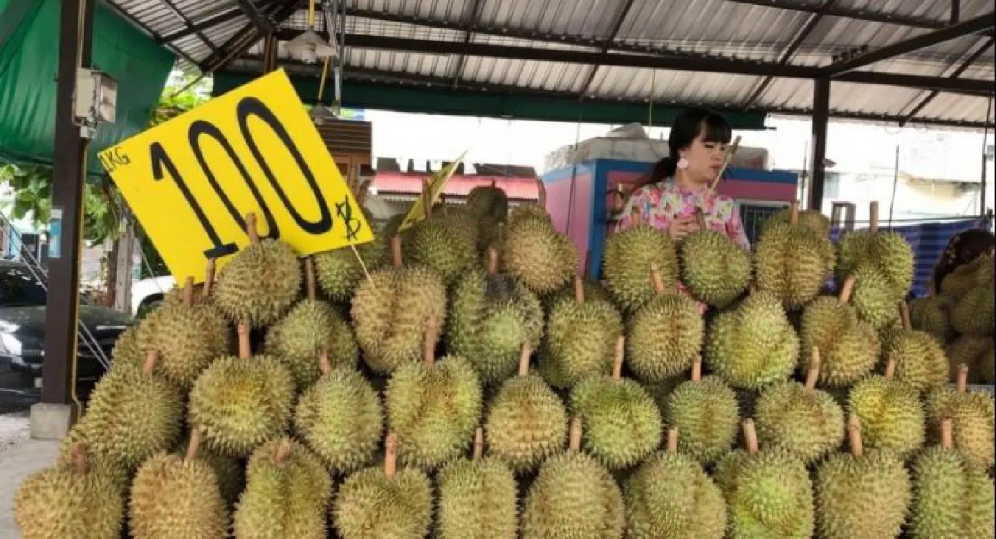 Smell of durian delays flight after passengers protest Smell of durian delays flight after passengers protest