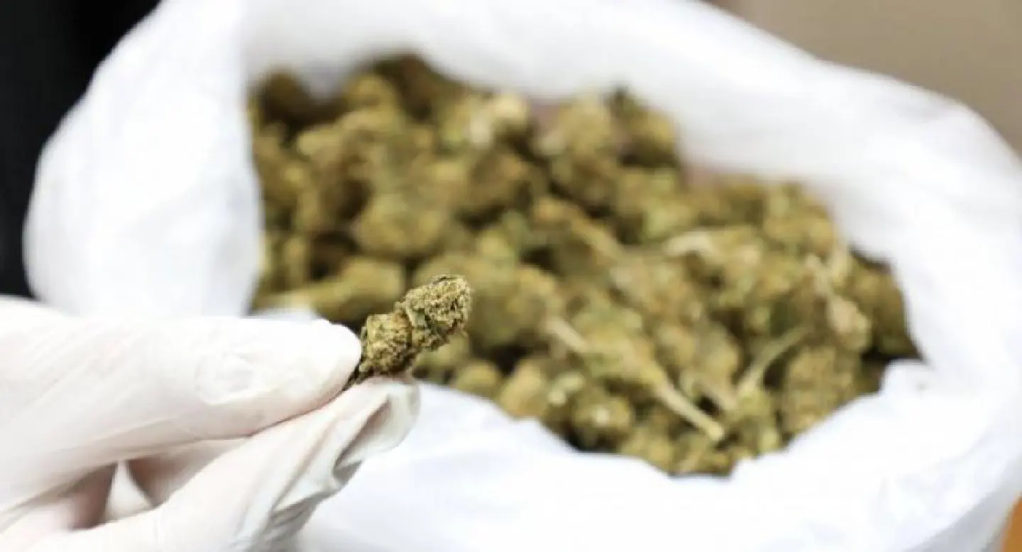 Marijuana bill shortened to allow quicker legislation