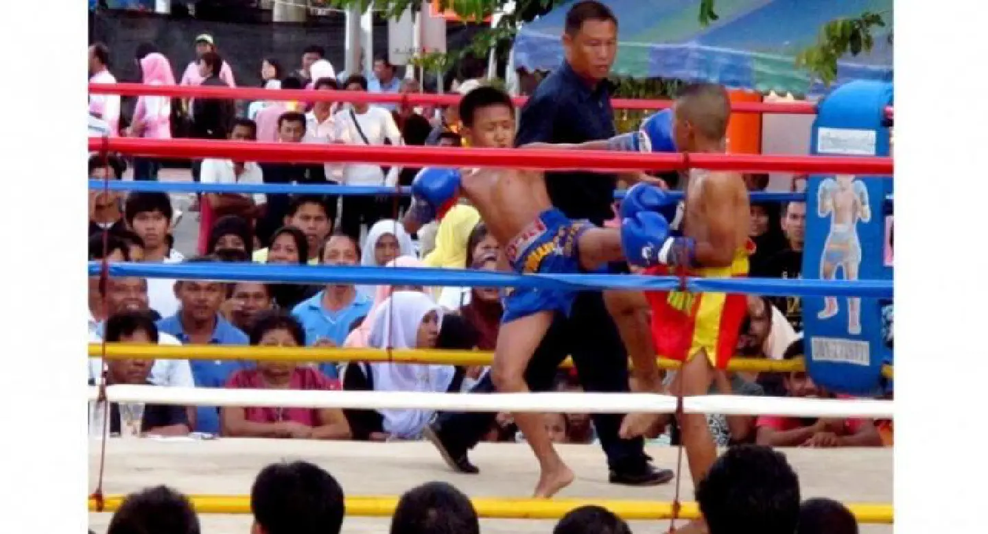 Doctors call for law banning child boxers Doctors call for law banning child boxers