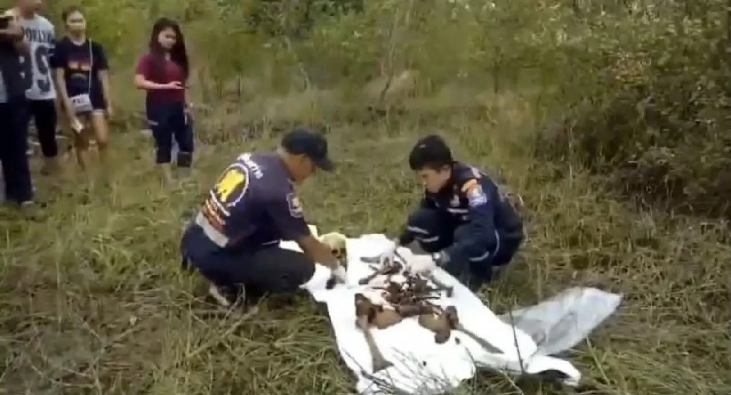 Bones found in Prachin Buri Bones found in Prachin Buri