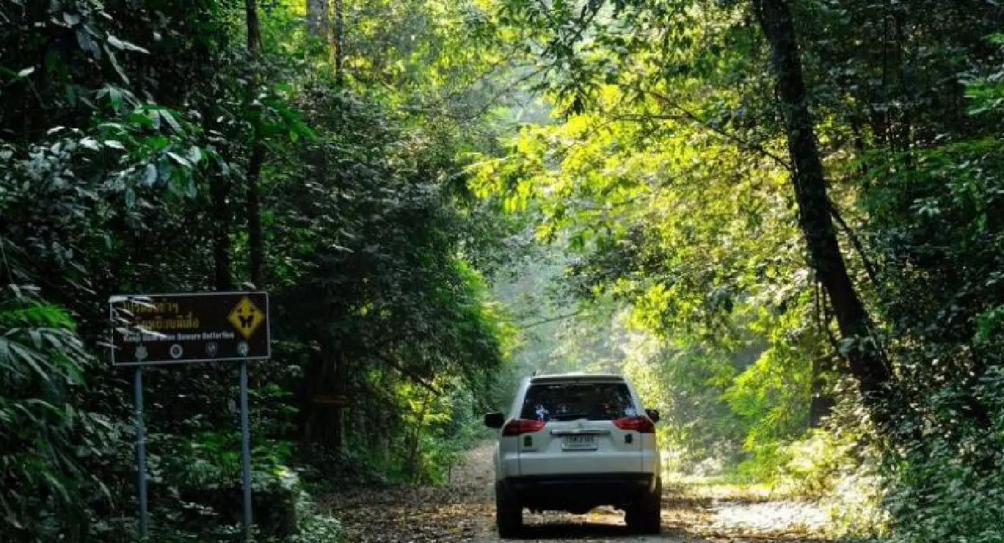 SPECIAL REPORT: Kaeng Krachan's main priority: tourism or wildlife protection?