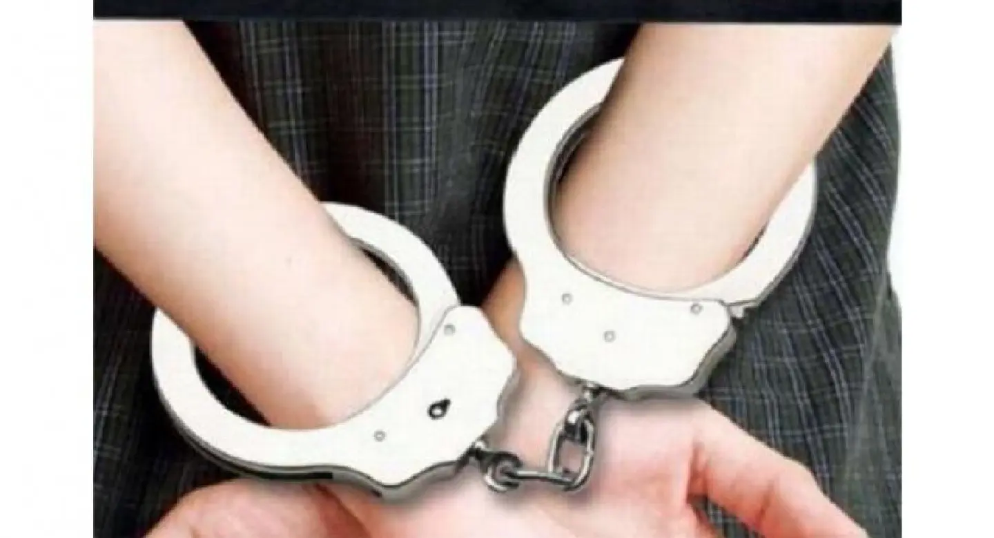 Grab driver detained for showing middle finger at traffic cops