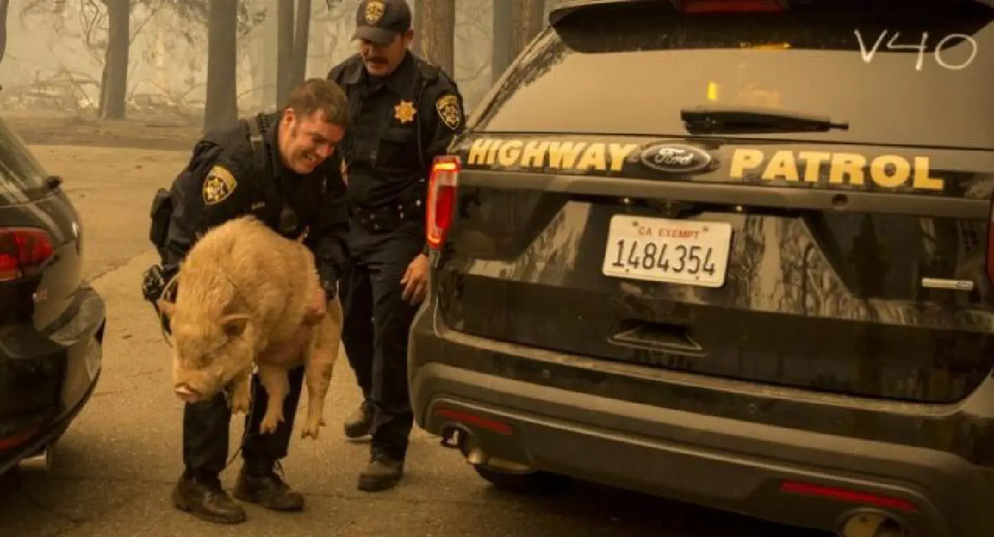 California fire death toll rises to 23 California fire death toll rises to 23