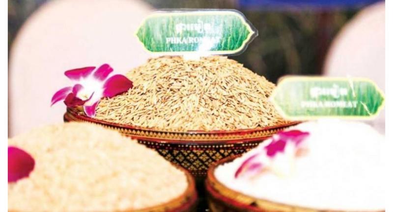 Oxfam launches project to connect rice supply chain in Cambodia