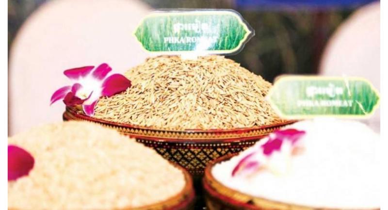 Oxfam launches project to connect rice supply chain in Cambodia