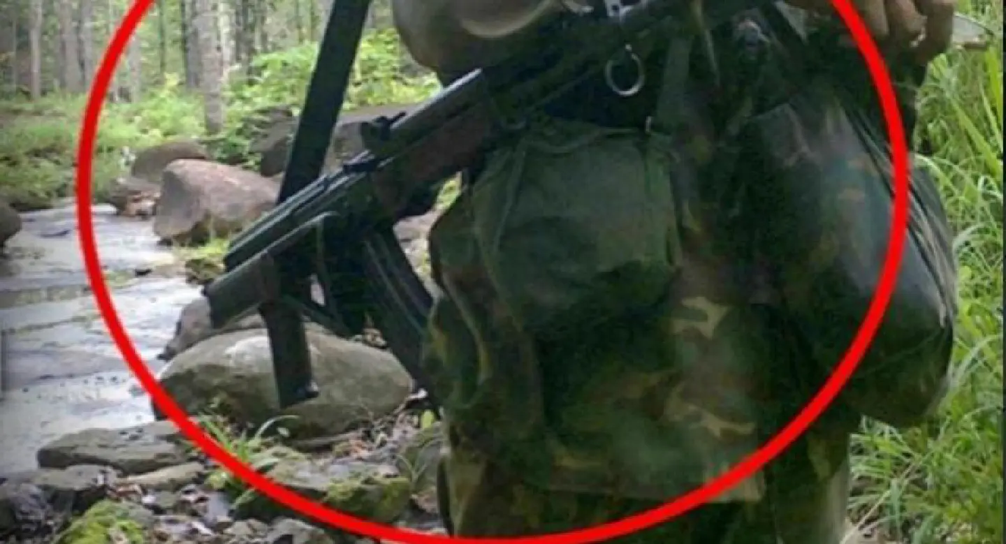 Urgent : Task force seeks help from Laos to trace elephant killers