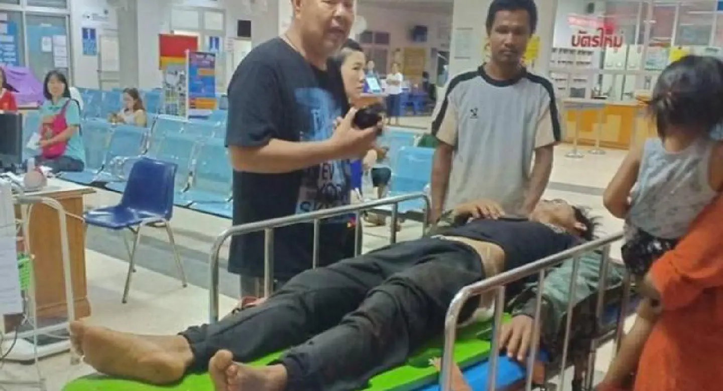 Bomb aimed at scaring away elephants leaves 4 volunteers injured Bomb aimed at scaring away elephants leaves 4 volunteers injured