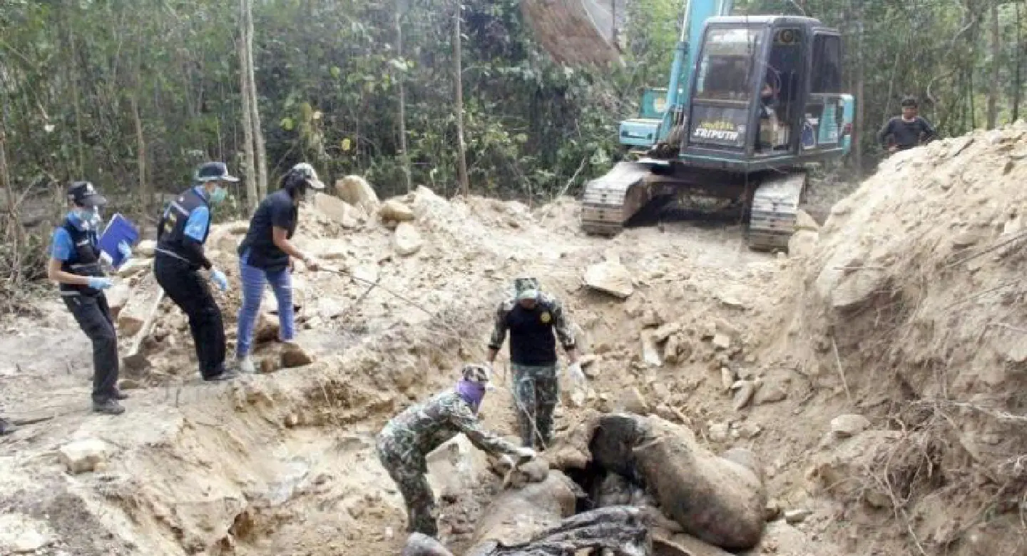 Slain elephant shot with military assault rifle Slain elephant shot with military assault rifle