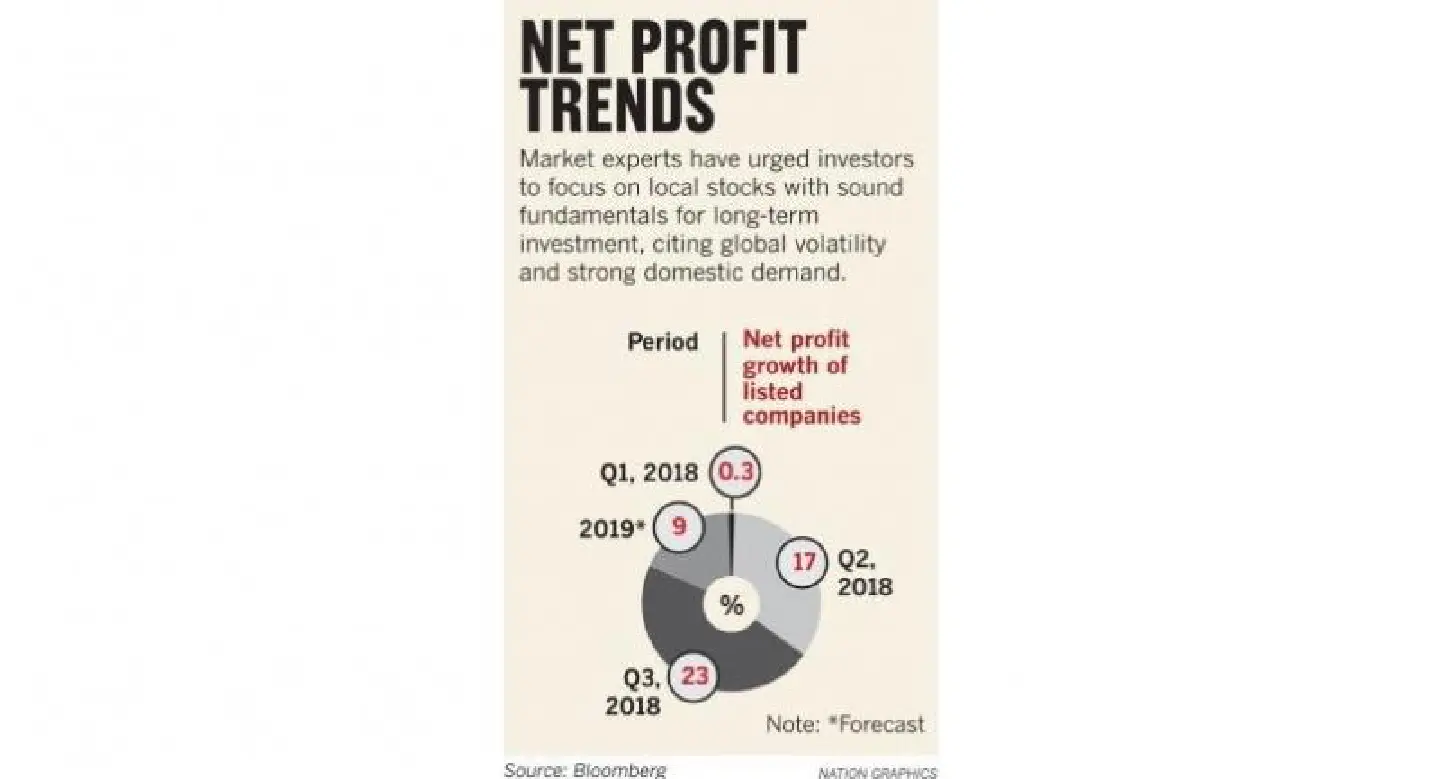 Focus on domestic stocks, strategists advise Focus on domestic stocks, strategists advise
