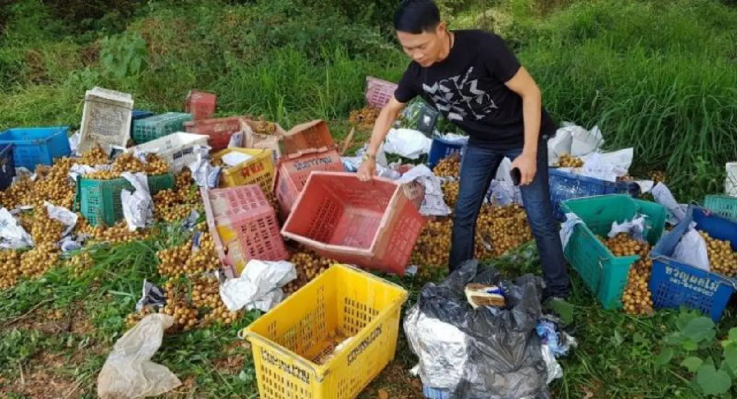 Huge stash of abandoned meth pills found at Ang Thong roadside