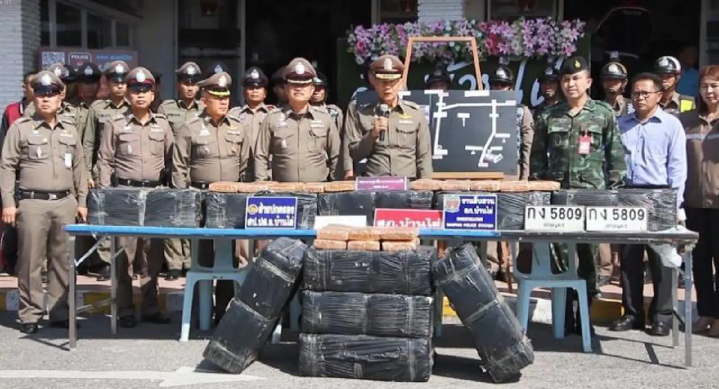 500kg of marijuana seized in Khon Kaen, drug mule escapes 500kg of marijuana seized in Khon Kaen, drug mule escapes