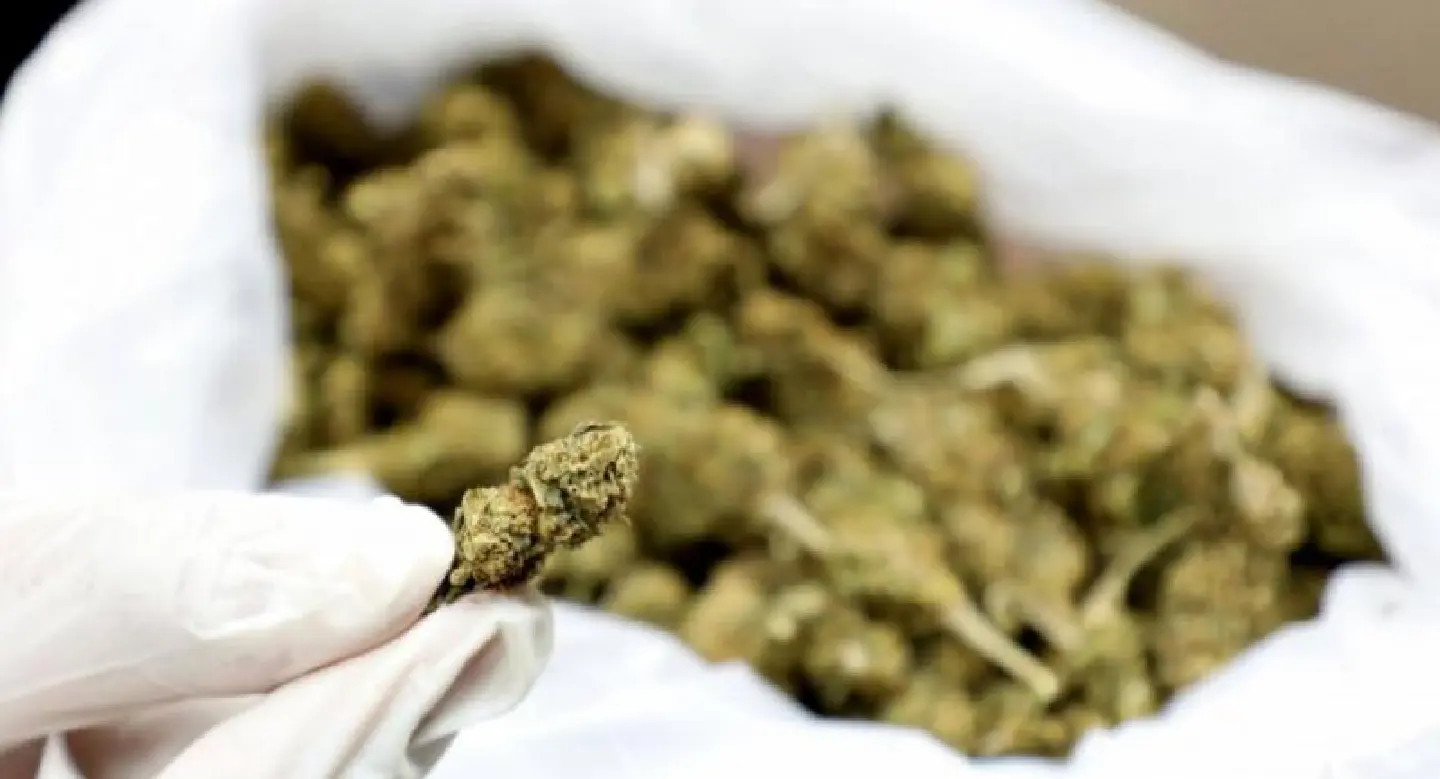 Thailand moves one step closer to legal marijuana