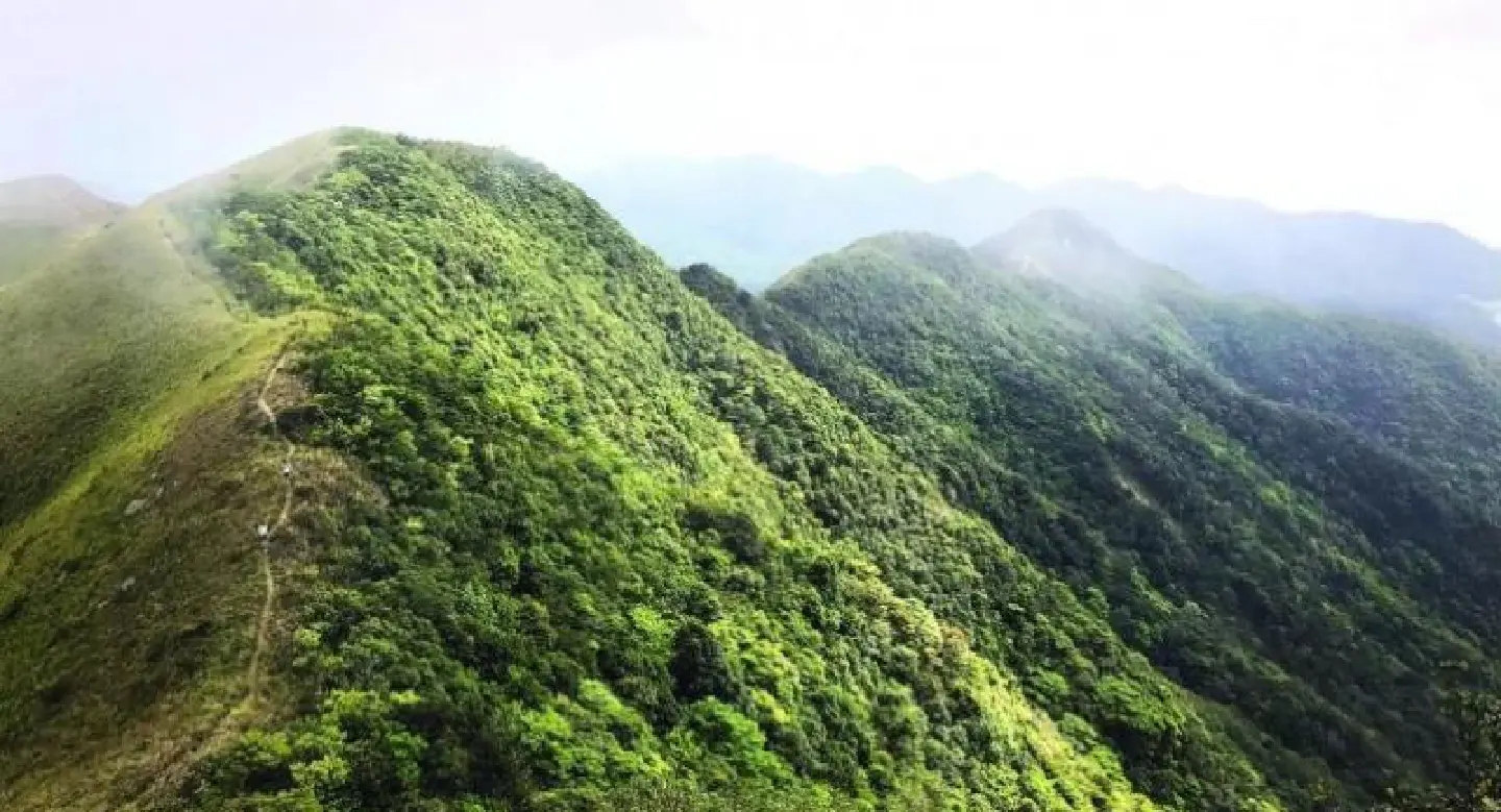 Hong Kong takes a hike Hong Kong takes a hike