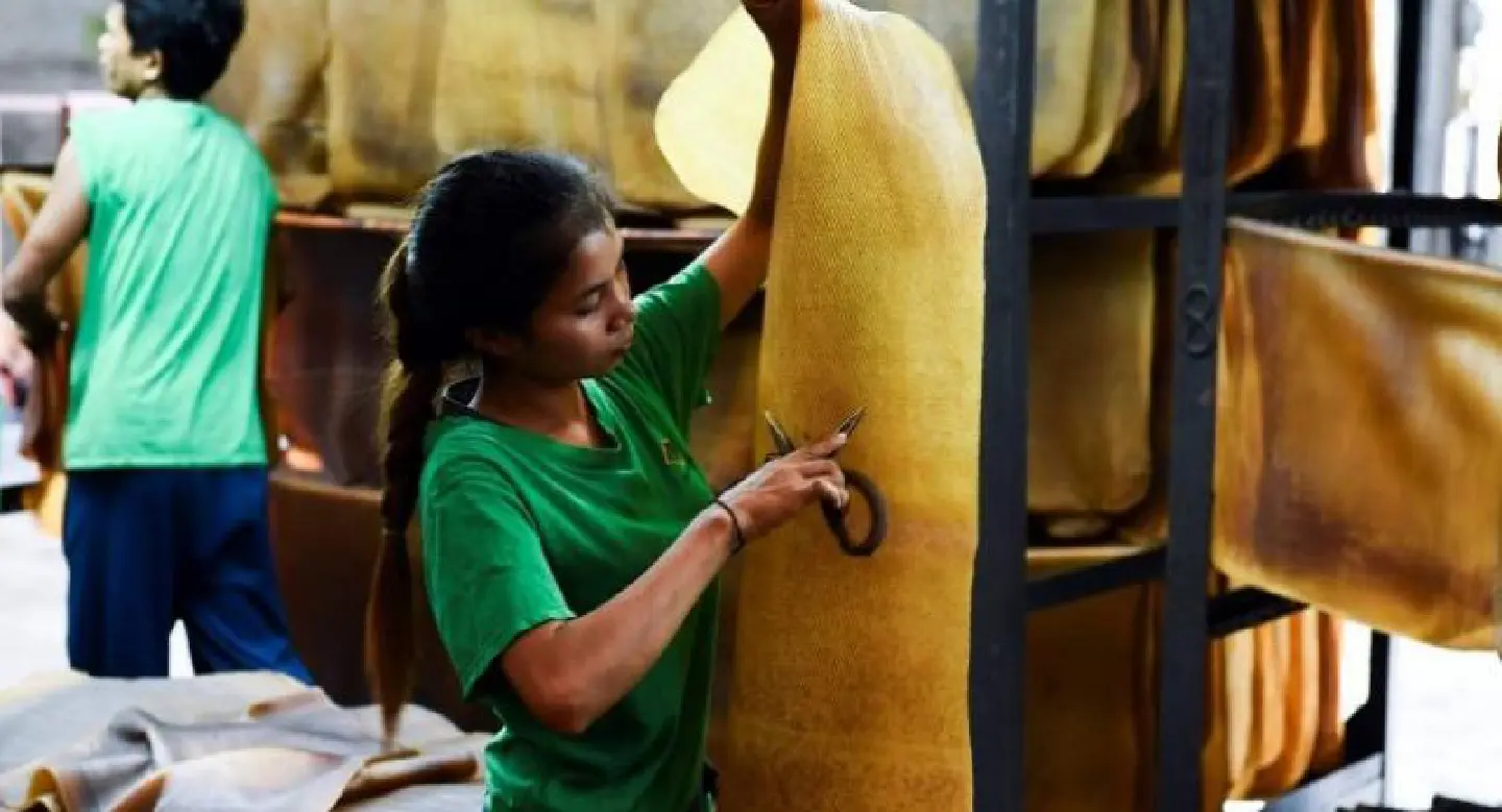 Thai rubber farms stretched as US-China trade war saps demand Thai rubber farms stretched as US-China trade war saps demand