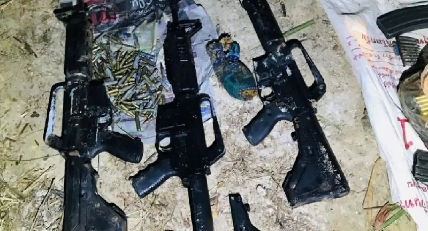 Probe on into weapons found hidden in bushes
