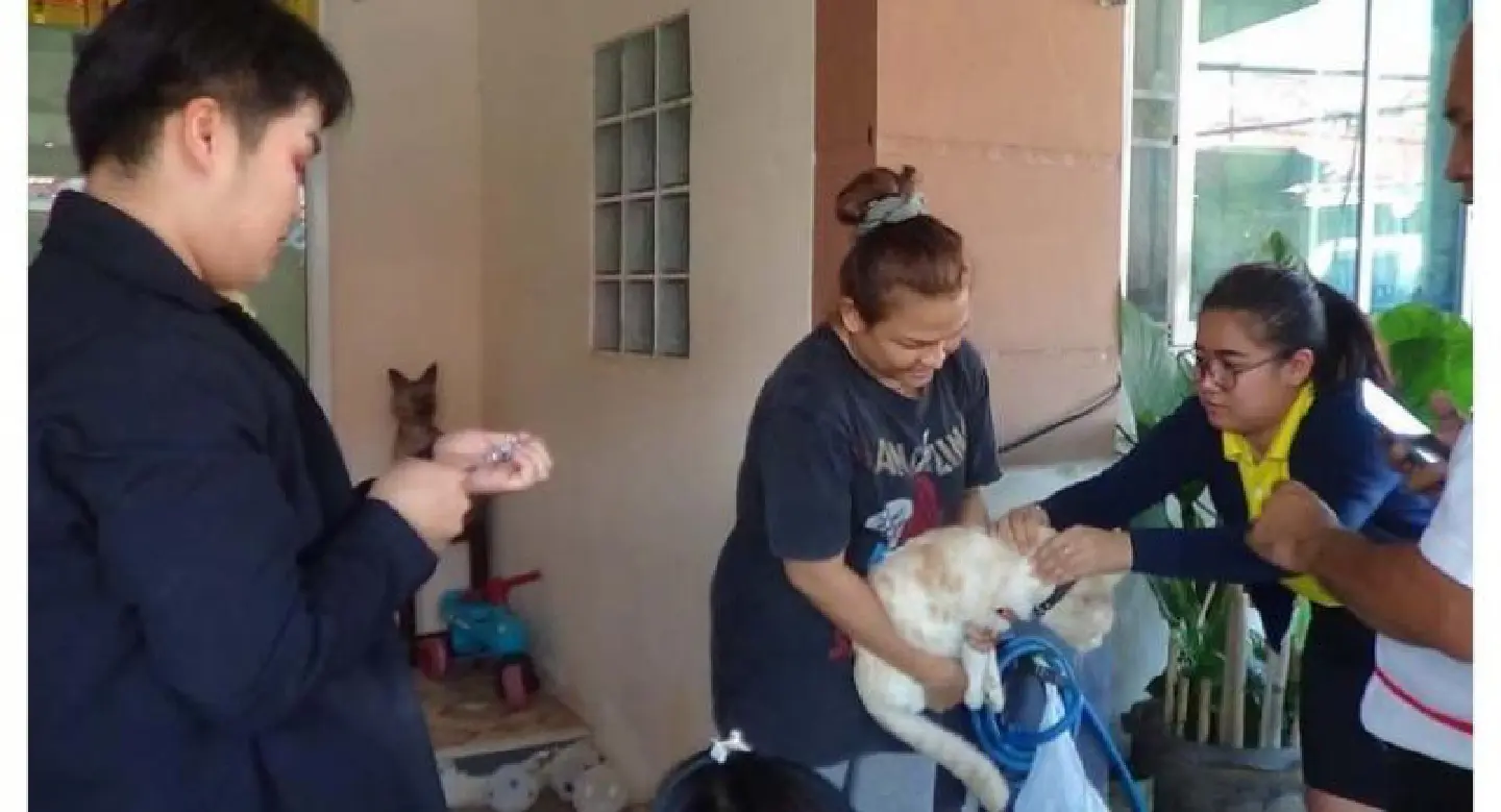 Chon Buri dogs and cats get rabies shots Chon Buri dogs and cats get rabies shots