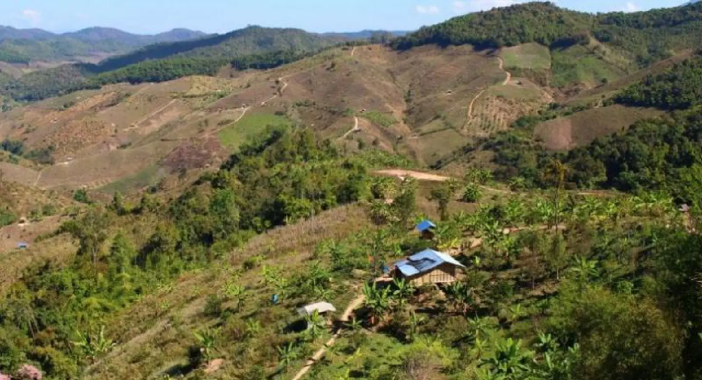 New forestland resolution ‘old wine in new bottle’
