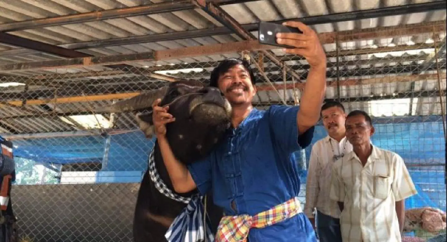 Man gets back his best friend, a buffalo, amid legal wrangling Man gets back his best friend, a buffalo, amid legal wrangling