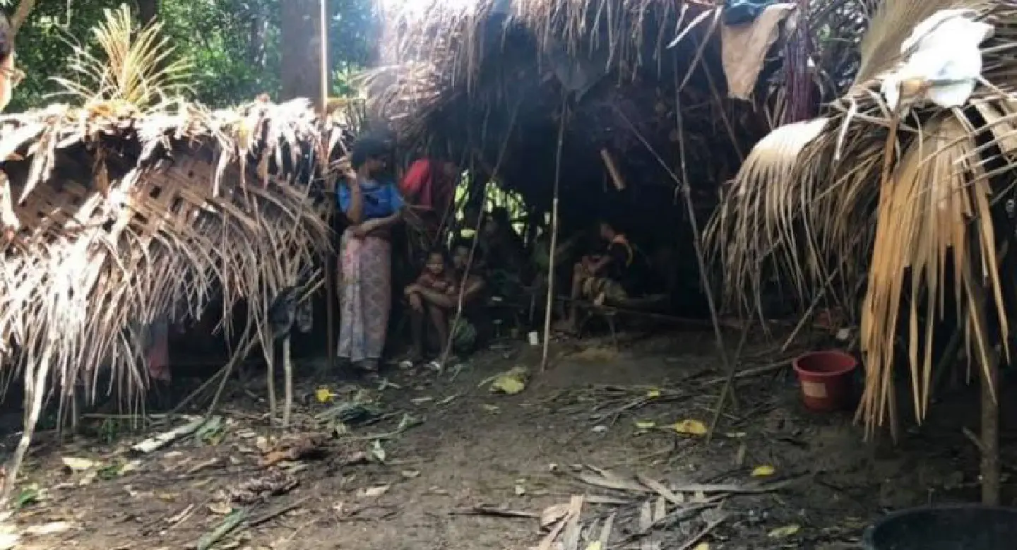 Gold card proposed for nomadic tribe to get healthcare where needed