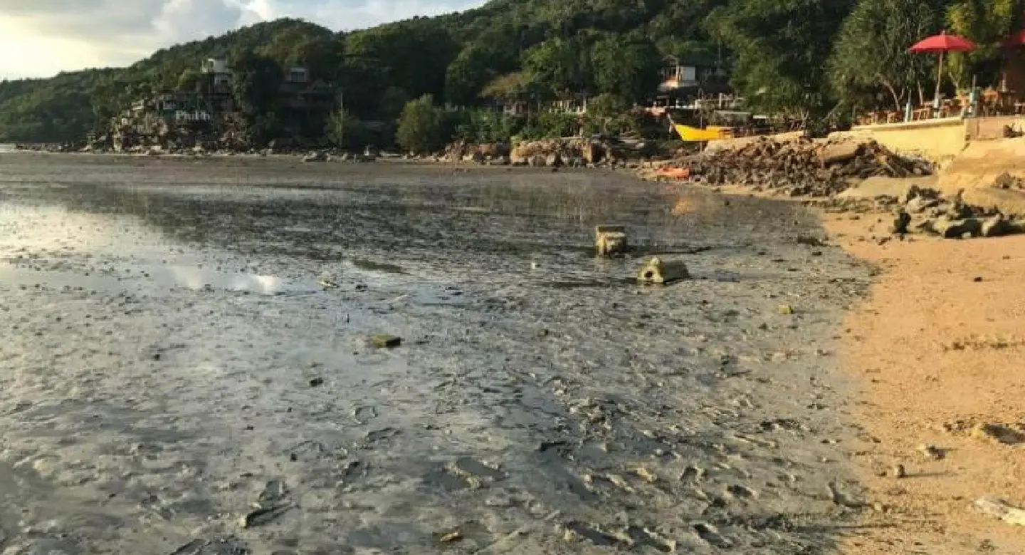 A paradise nearly lost