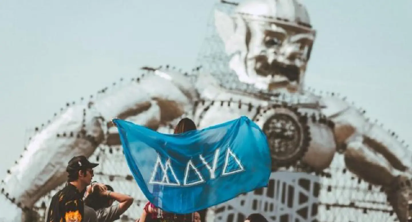 EDM goes wild