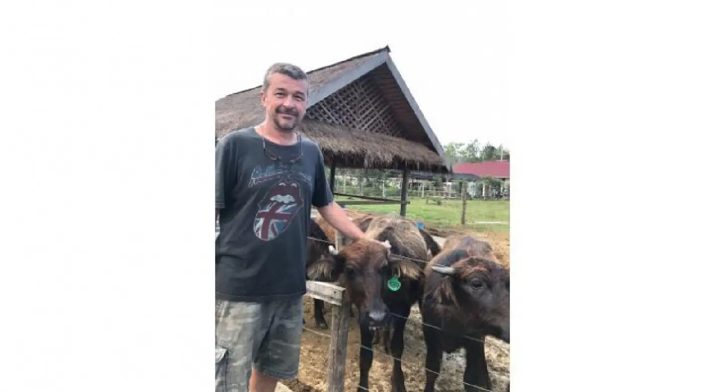 Buffaloes join the herd in sharing economy